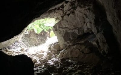 Krijg meer zelfacceptatie met De Kunst van Contemplatie