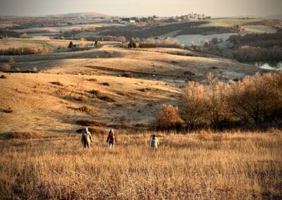Als je het licht hier ziet, begrijp je waarom zoveel schilders naar Zuid-Frankrijk kwamen.