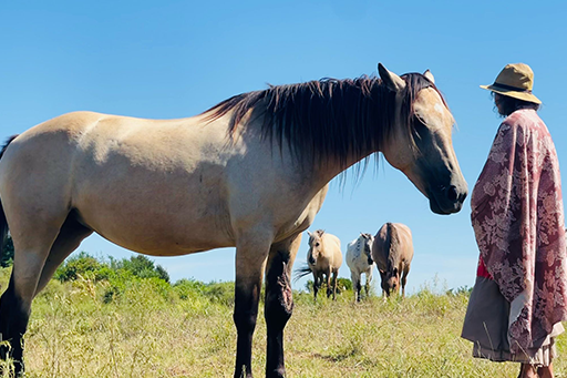 The Horse Medicine Women - Kendres en Sonja - Terra Nova
