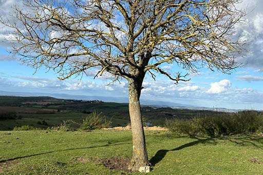 Inspiratieweek Terra Nova jouw week jouw ritme